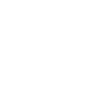 White rocket